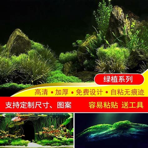 魚缸圖|魚缸背景圖库，海量高清背景圖片免費下載